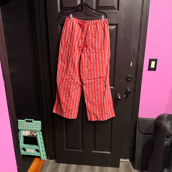 BDG Red and Purple Striped Pants - Picture 3 of 8